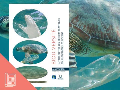 ANALYSE ESG - Biodiversité : lutter contre les déchets plastiques pour protéger les océans