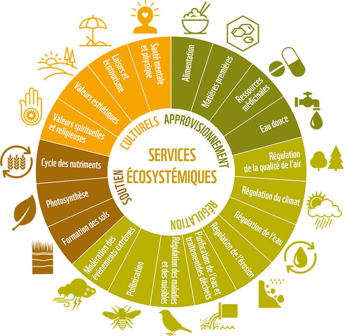 Services ecosystemiques